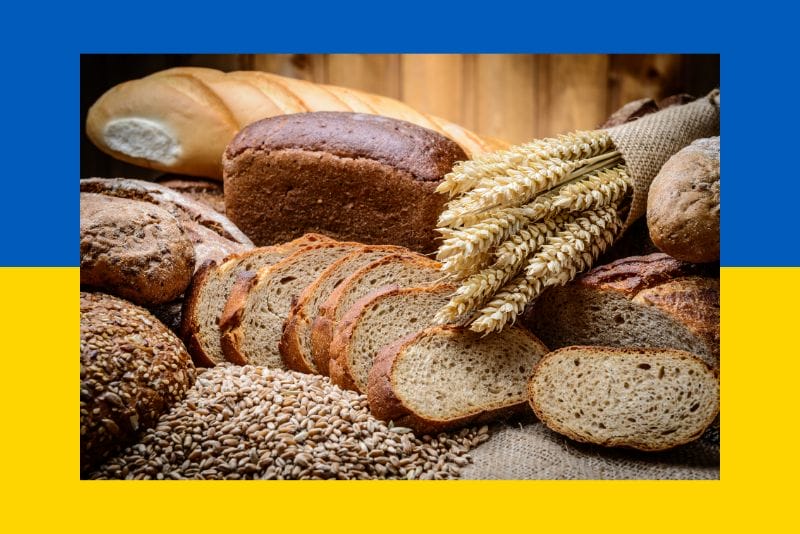 Russia Ukraine wheat exports