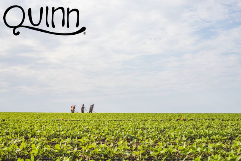 Quinn Foods snacks snacking sustainable regenerative agriculture