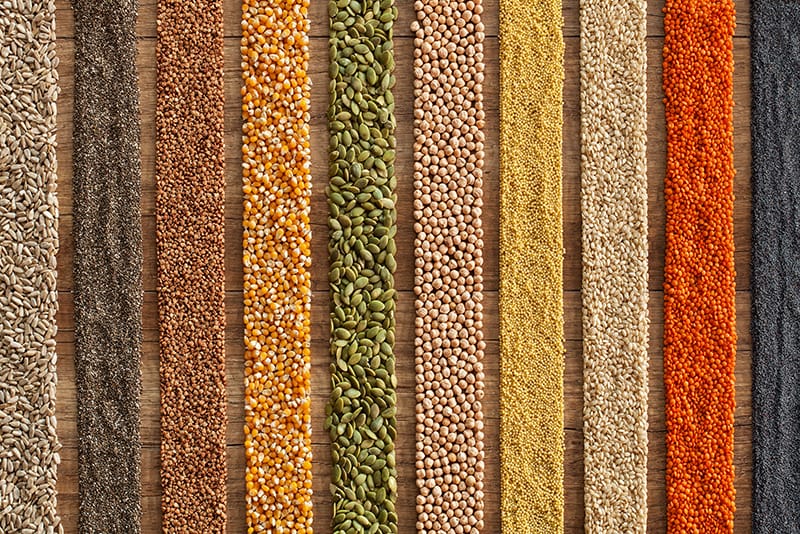 alternative grains