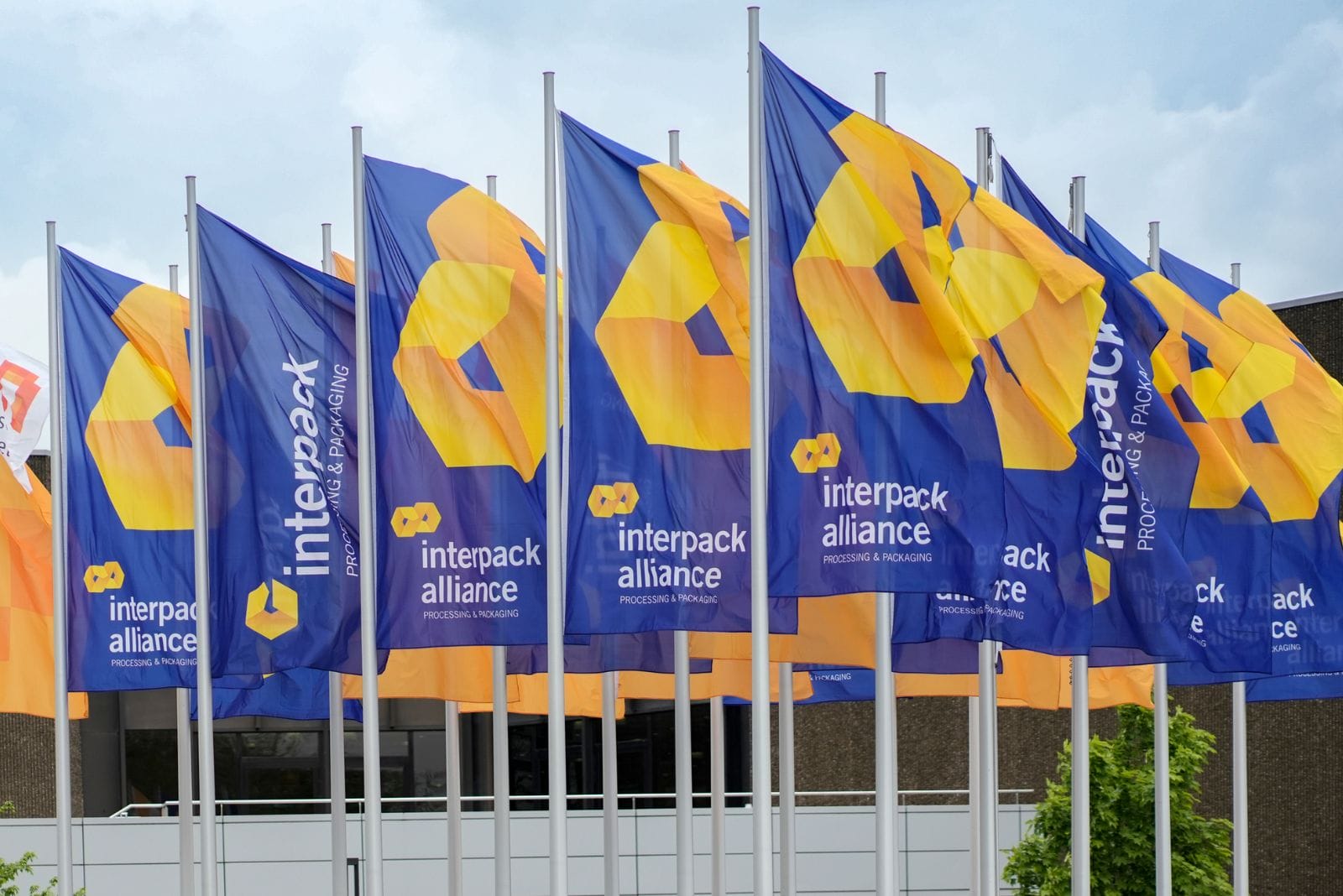 interpack flags outside of fair grounds
