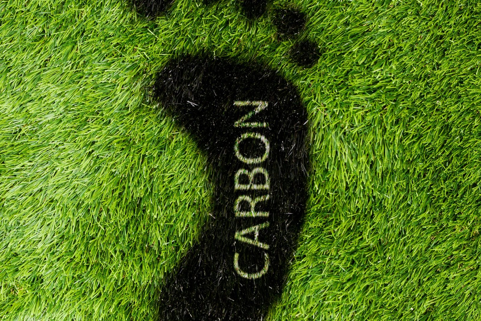footprint image cut into grass with the word carbon to symbolize sustainability