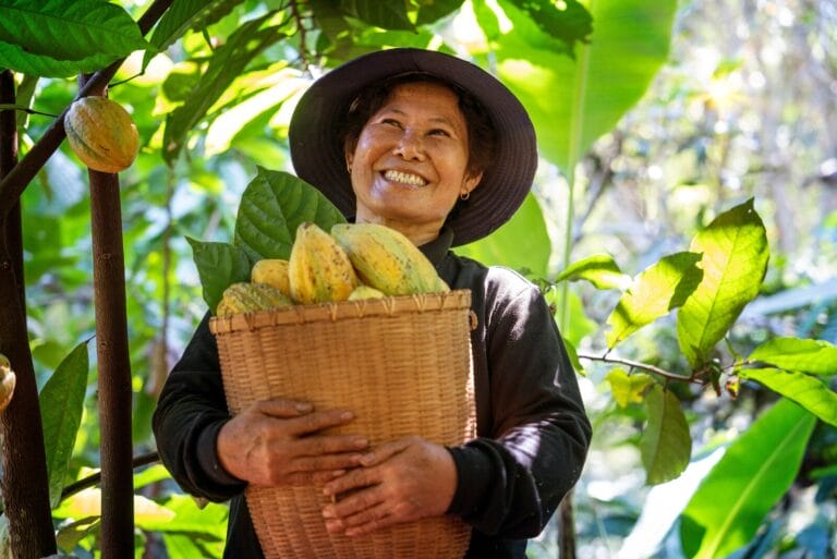 cocoa farmer