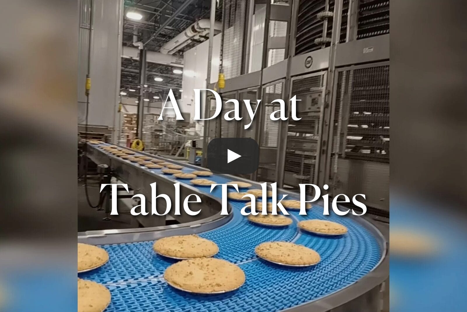 Pies on conveyor belt at Table Talk Pies commercial baking facility.