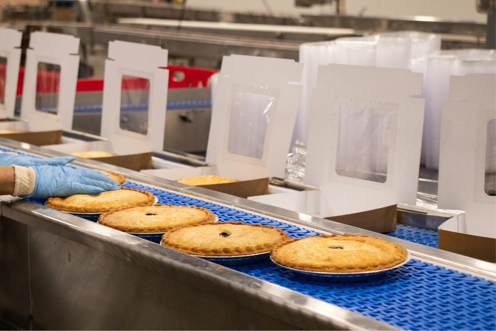 Production line of pies