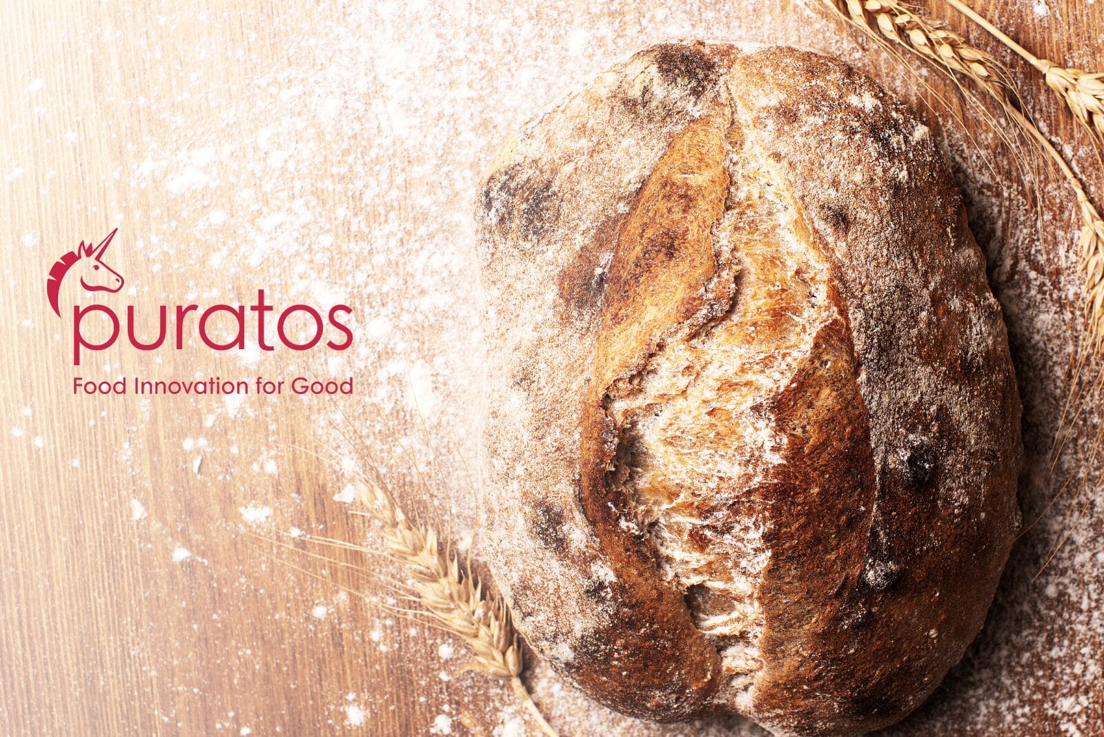 Puratos logo next to sourdough round loaf on wooden counter