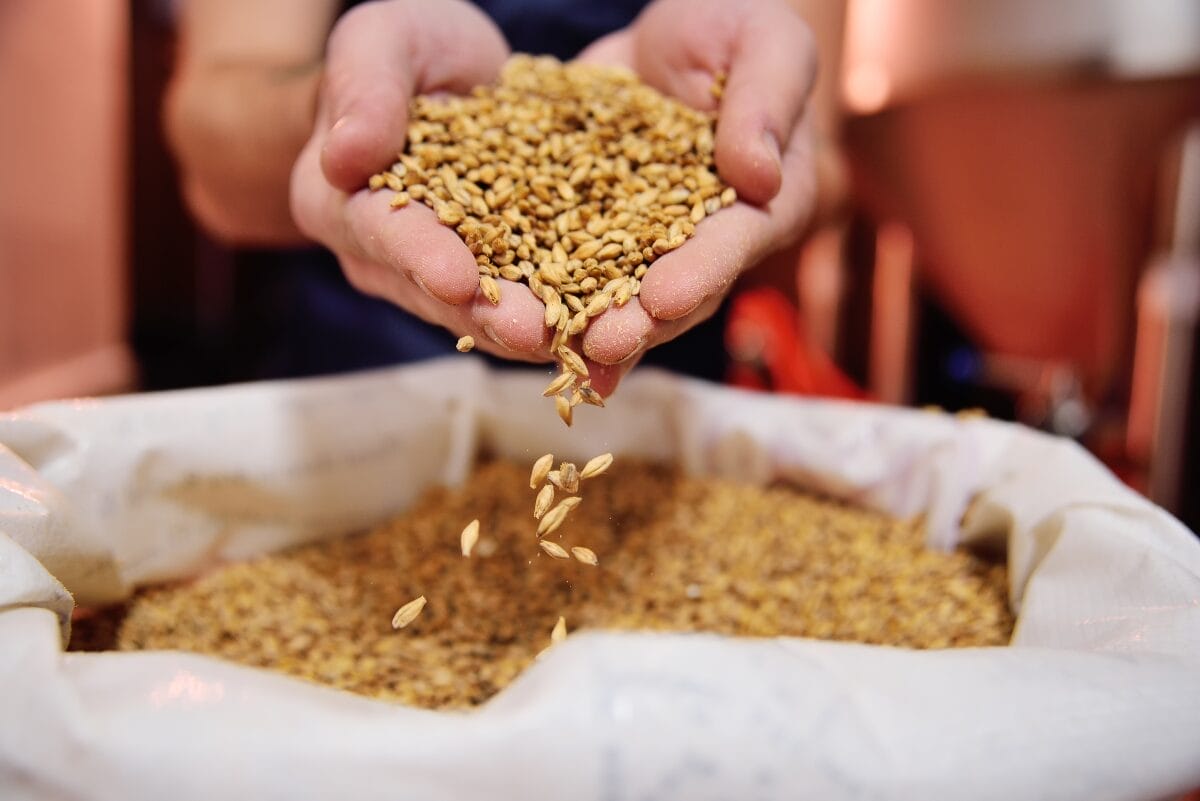 Hands holding grains over bin.